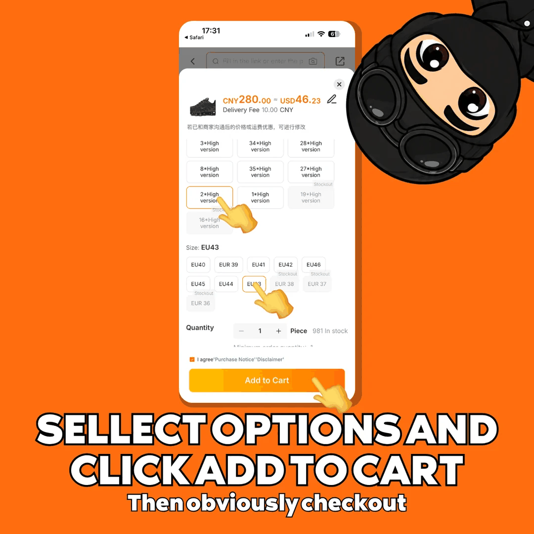 Order screen with version, size and quantity chosen